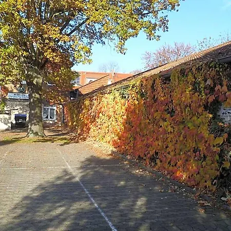 Deutsche Eiche In